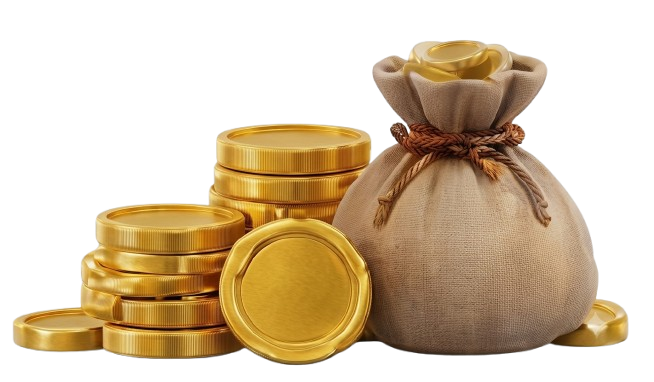 PokéCoins with money bag